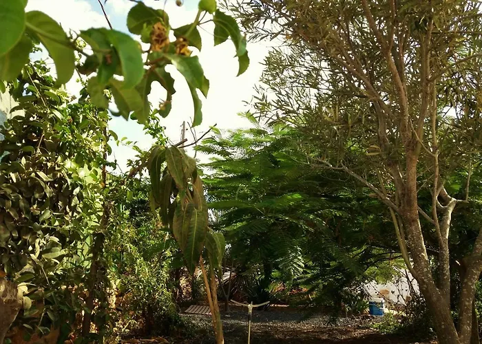 Casita Rural Molino De La Corte * Antigua (Fuerteventura)
